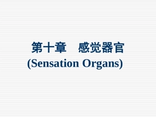 感官(朱文玉)