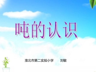 最新人教版三上吨的认识