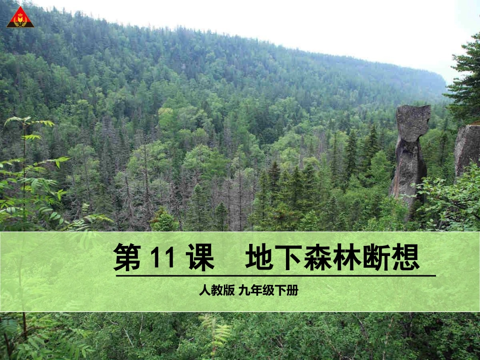 地下森林断想 (2)_第1页