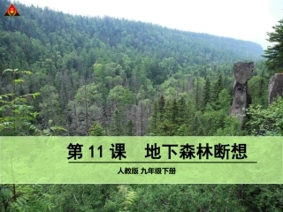 地下森林断想 (2)