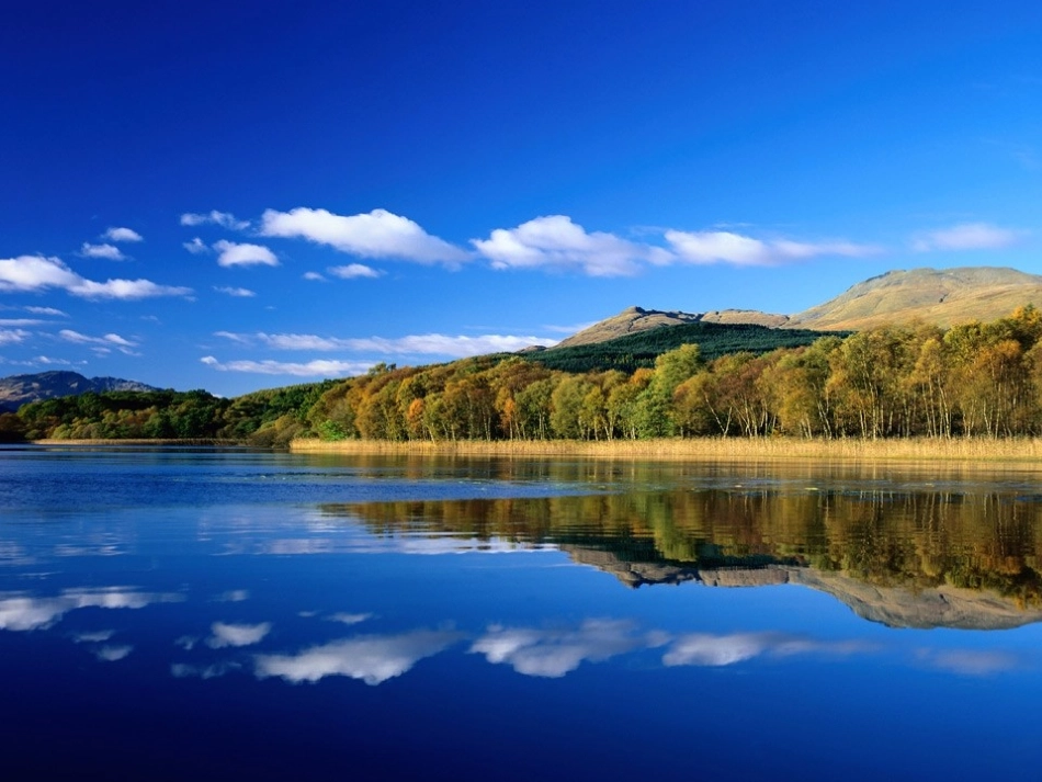 语言的魅力预习课欣赏图片_第3页