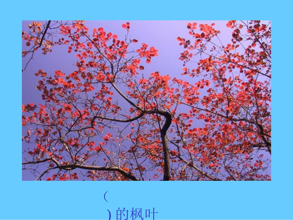 蓝色的树叶课件PPT_第2页