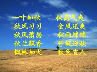 、北大荒的秋天