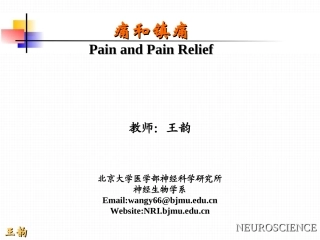 p2痛觉产生的基础理论知识
