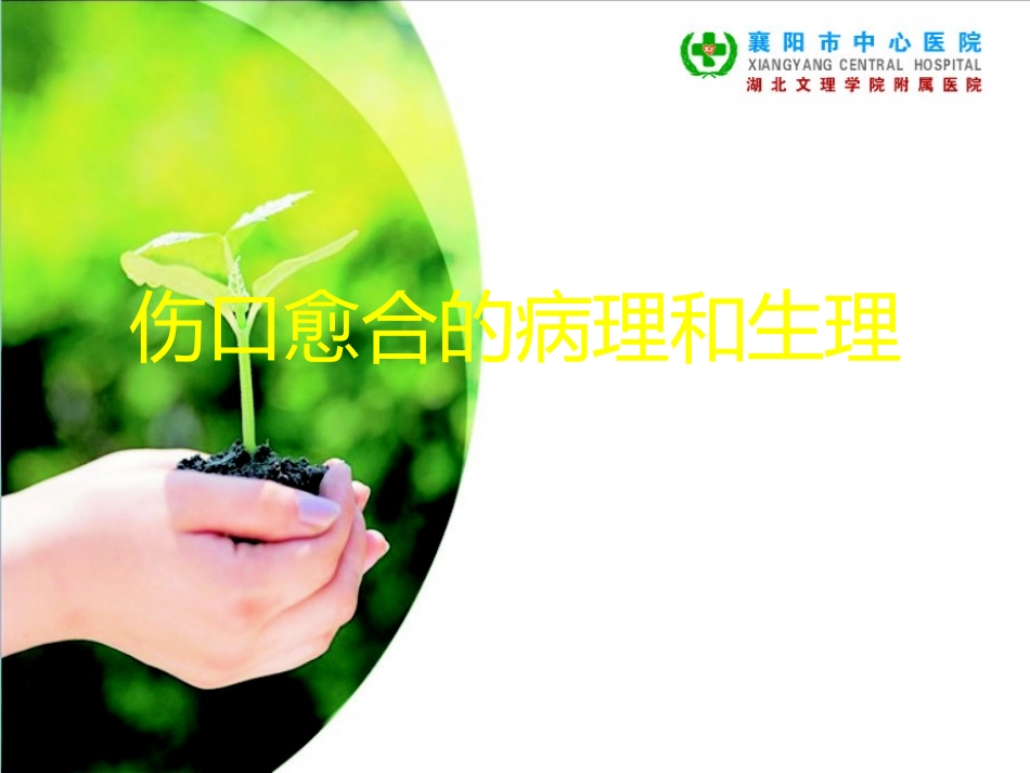 PPT伤口的病理生理_第1页