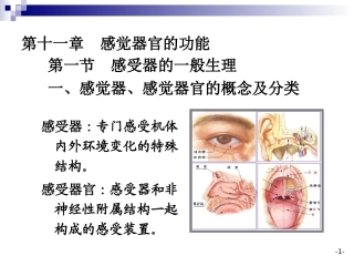 第十一章  感觉器官