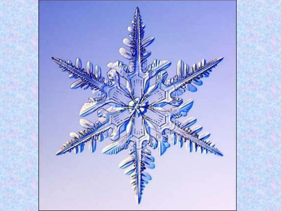 实验二  细菌及放线菌培养特征的观察_第2页