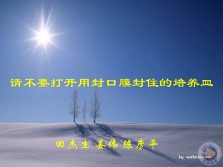 实验二  细菌及放线菌培养特征的观察