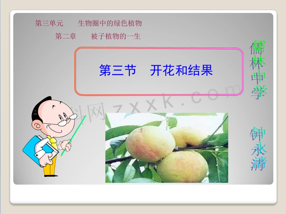 第三单元第二章第三节开花和结果_第1页