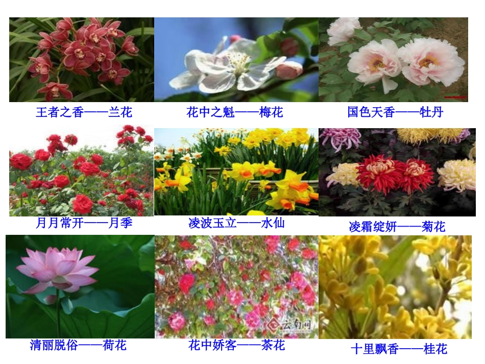 第三单元第二章第三节开花和结果_第2页