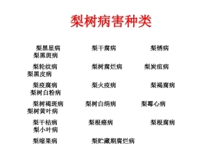 梨树病虫害防治