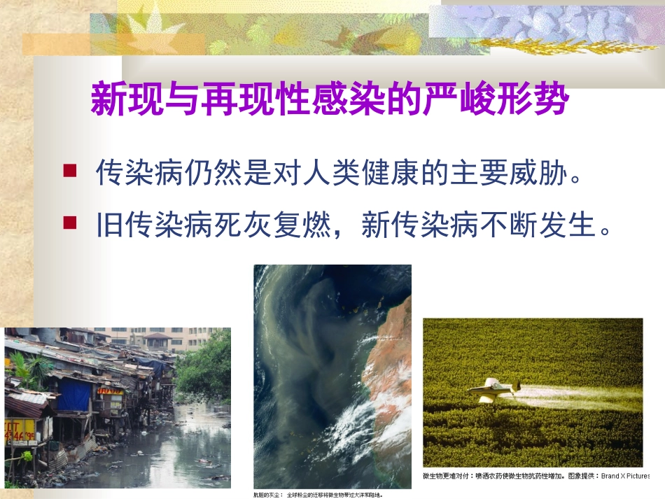 新现与再现传染病_第2页