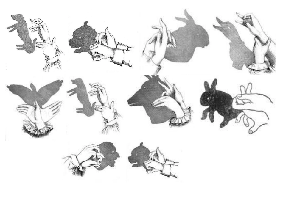 (教科版)五年级科学上册课件光和影_第3页