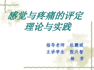 感觉与疼痛功能的评定