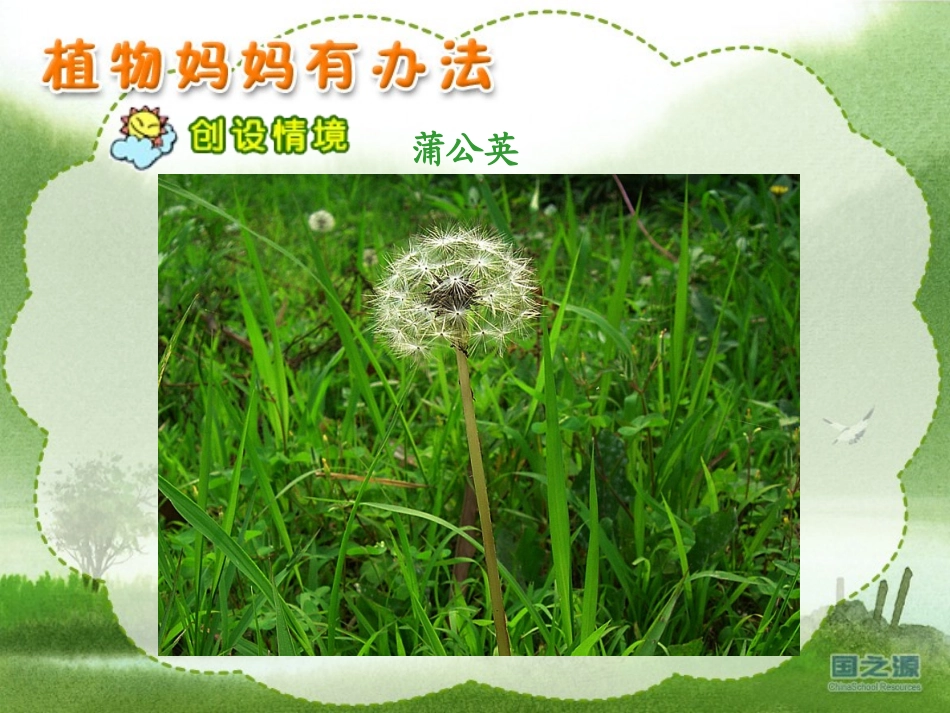 植物妈妈有办法课件_第3页