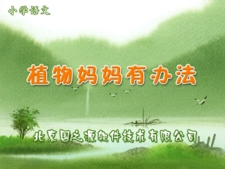 植物妈妈有办法课件