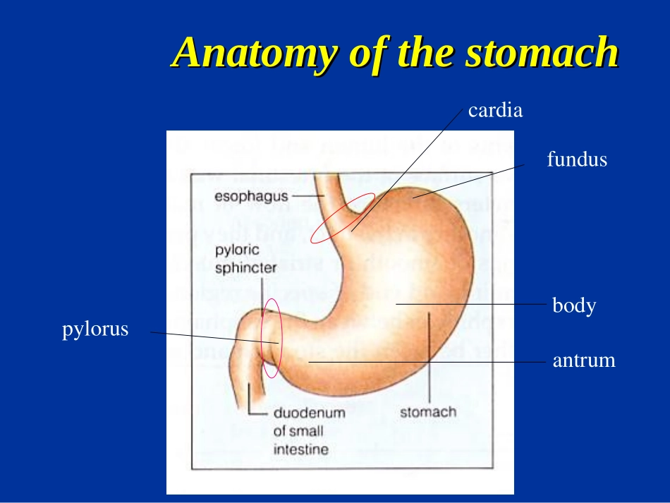 慢性胃炎-资料_第3页
