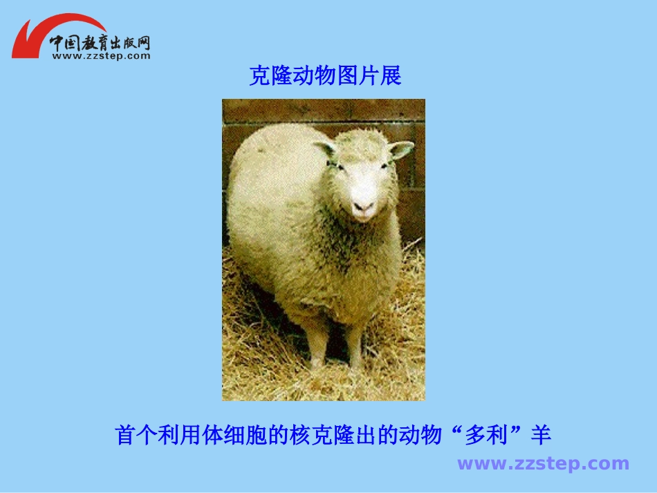 《奇妙的克隆》课件_第2页