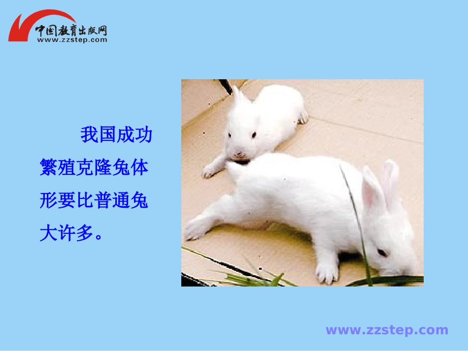 《奇妙的克隆》课件_第3页