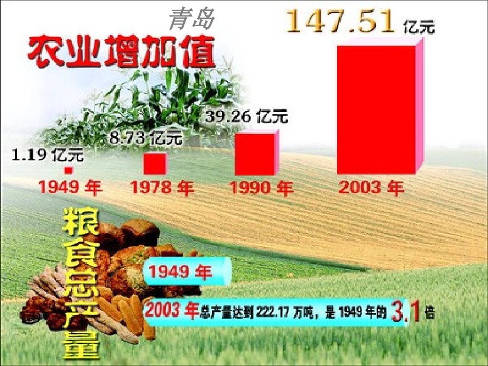 第二章  经济发展与农业_第2页