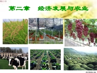 第二章  经济发展与农业