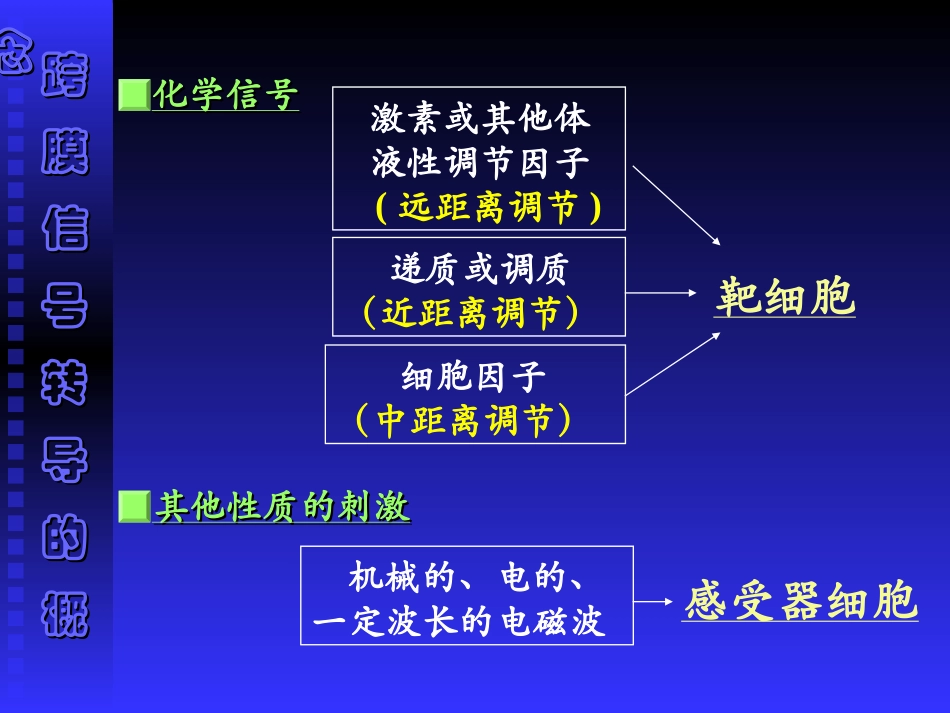 第 二 章 细胞的基本功能1-3_第2页