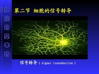 第 二 章 细胞的基本功能1-3