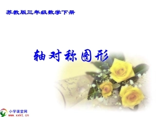 三年级数学下册《轴对称图形》PPT课件之十二（苏教版）