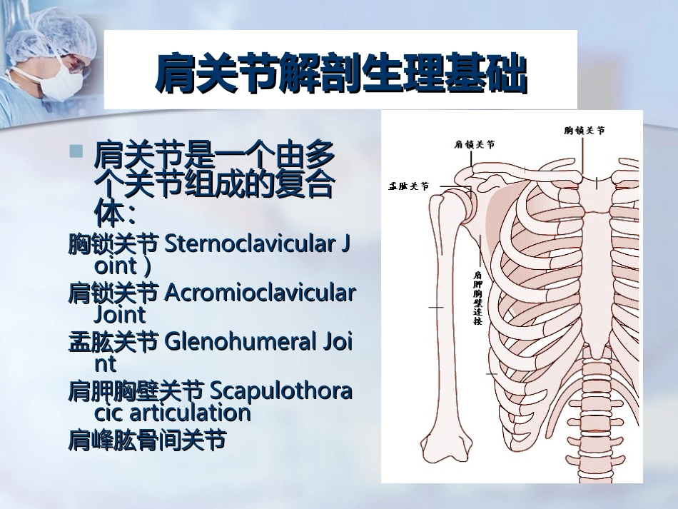 膝关节小腿运动创伤1_第3页