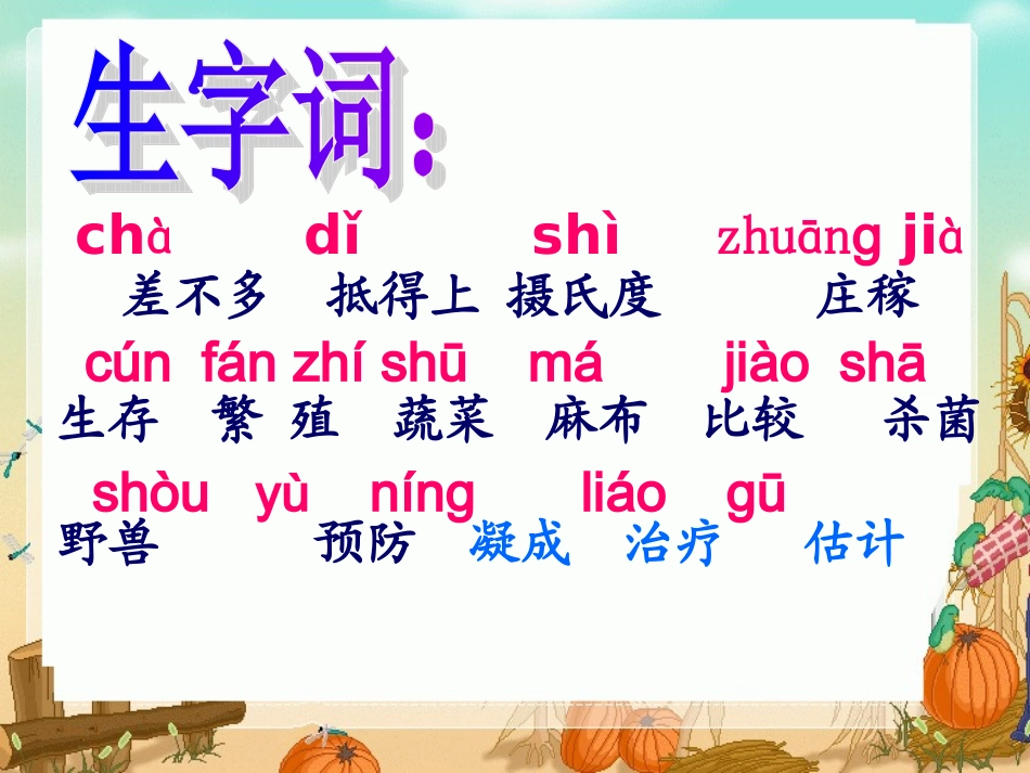 《太阳》课件 (2)_第3页