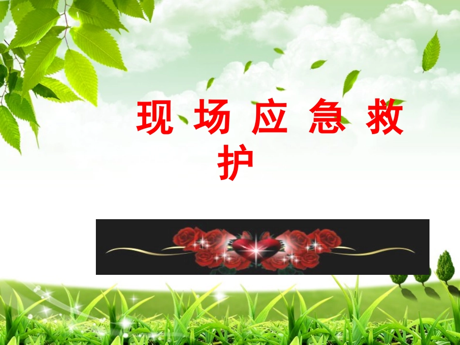 现场应急救护2014.10.17_第1页