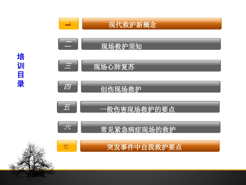 现场应急救护2014.10.17_第2页