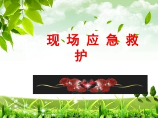 现场应急救护2014.10.17