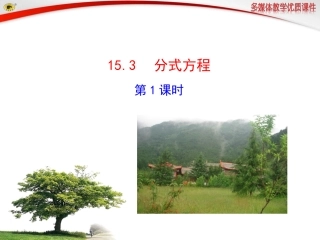 分式方程第课时