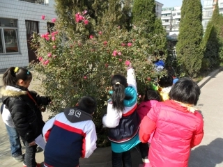 给您提个醒儿