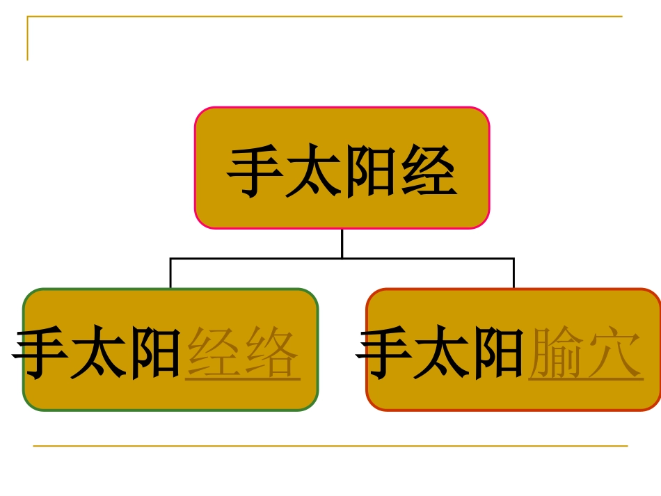 手太阳小肠经_第3页