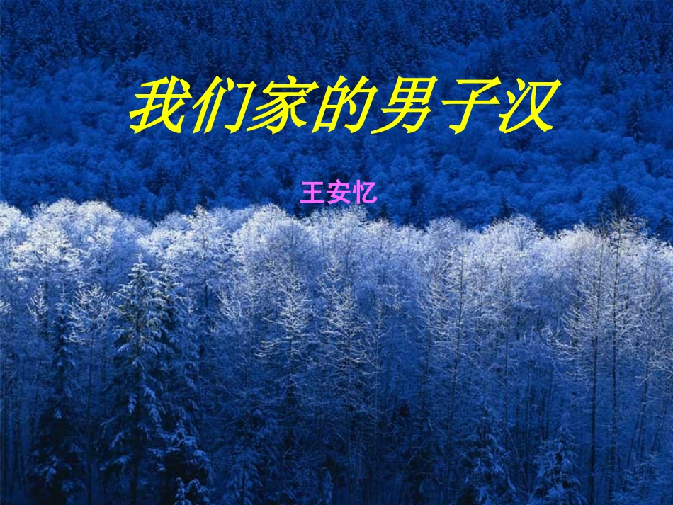 我们家的男子汉》精品课件_第1页