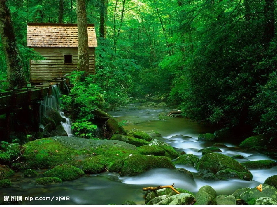 小学《品德与生活》未来出版社《地球在哭泣》_第2页