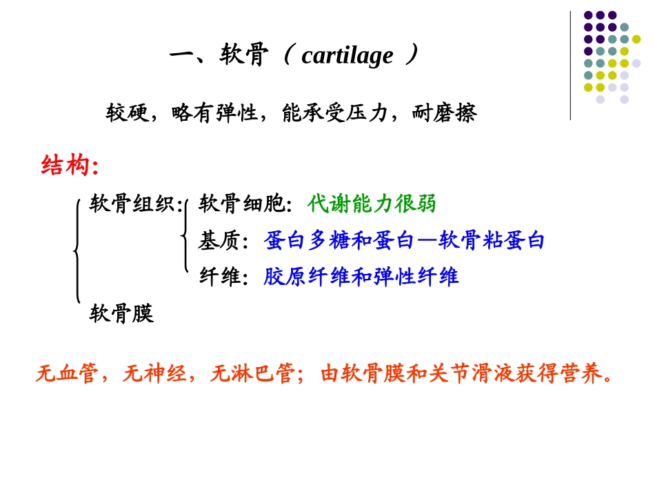 第五章软骨和骨_第3页