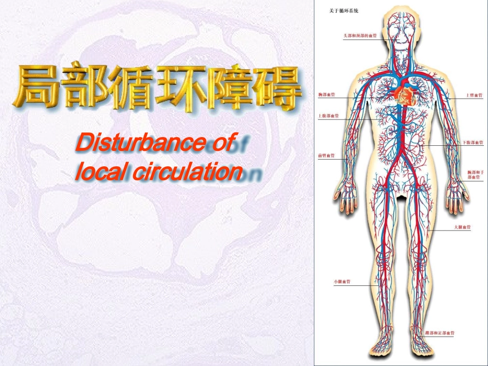 局循障碍-1_第1页
