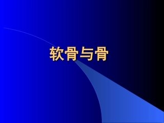 软骨和骨--组织学与胚胎学