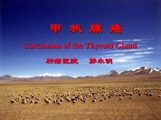 甲-状-腺-癌