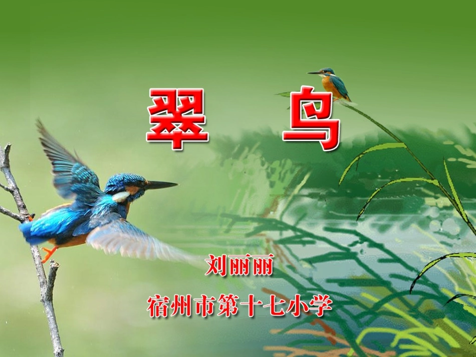人教版三年级上册5、翠鸟_第1页