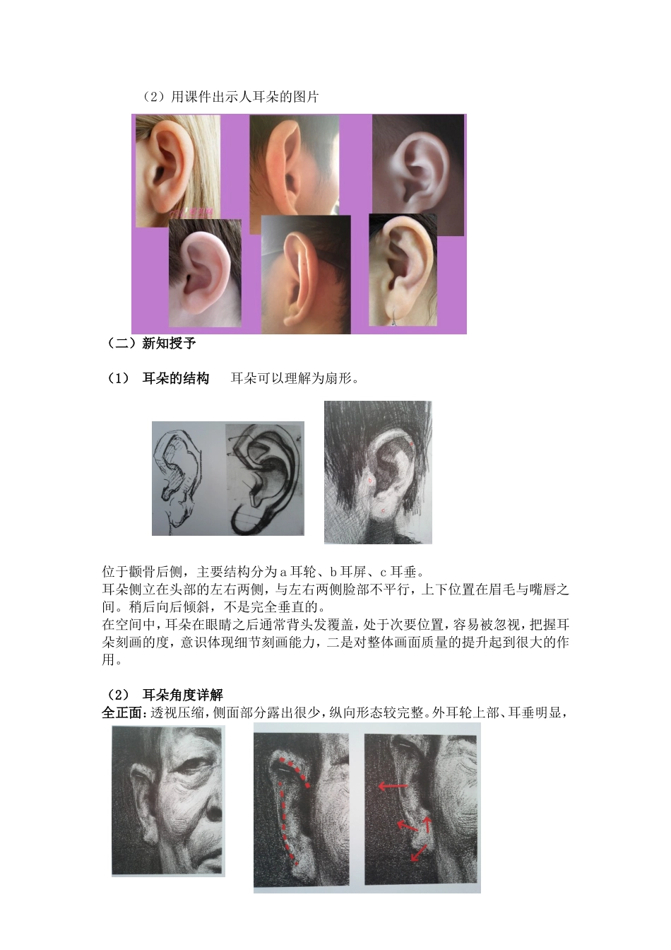 耳朵和颧骨的表现_第3页