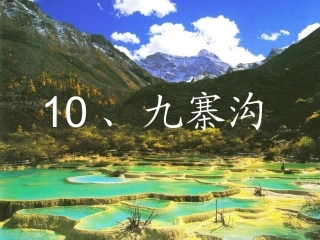 《九寨沟》珍稀动物