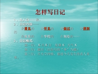 小学生如何写好日记 (2)