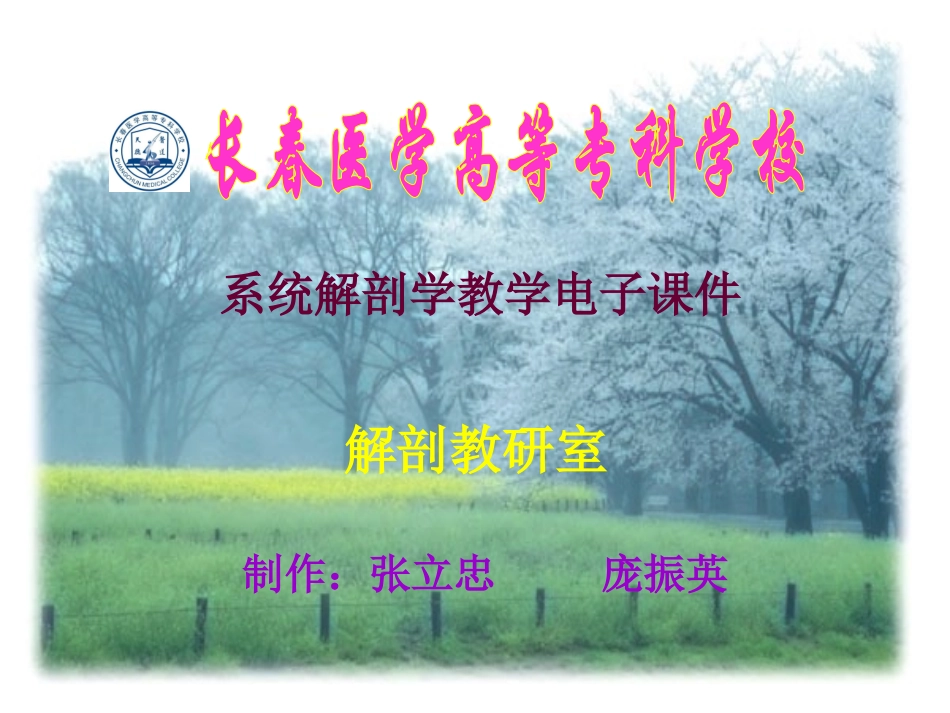 前庭蜗器的简介_第1页
