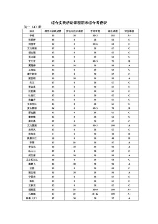 综合实践活动课程期末综合考查表