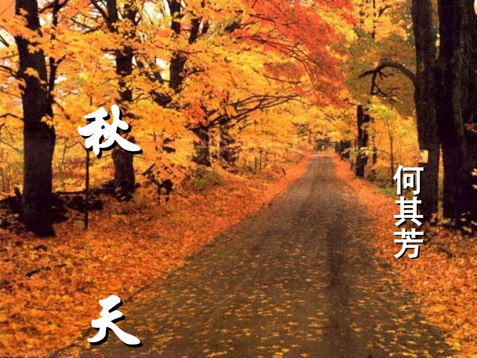 秋天PPT课件_第1页