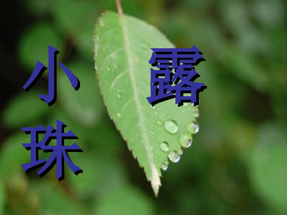 小露珠第一课时_第2页